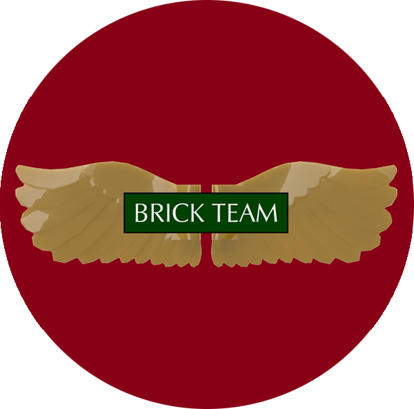 Brick team