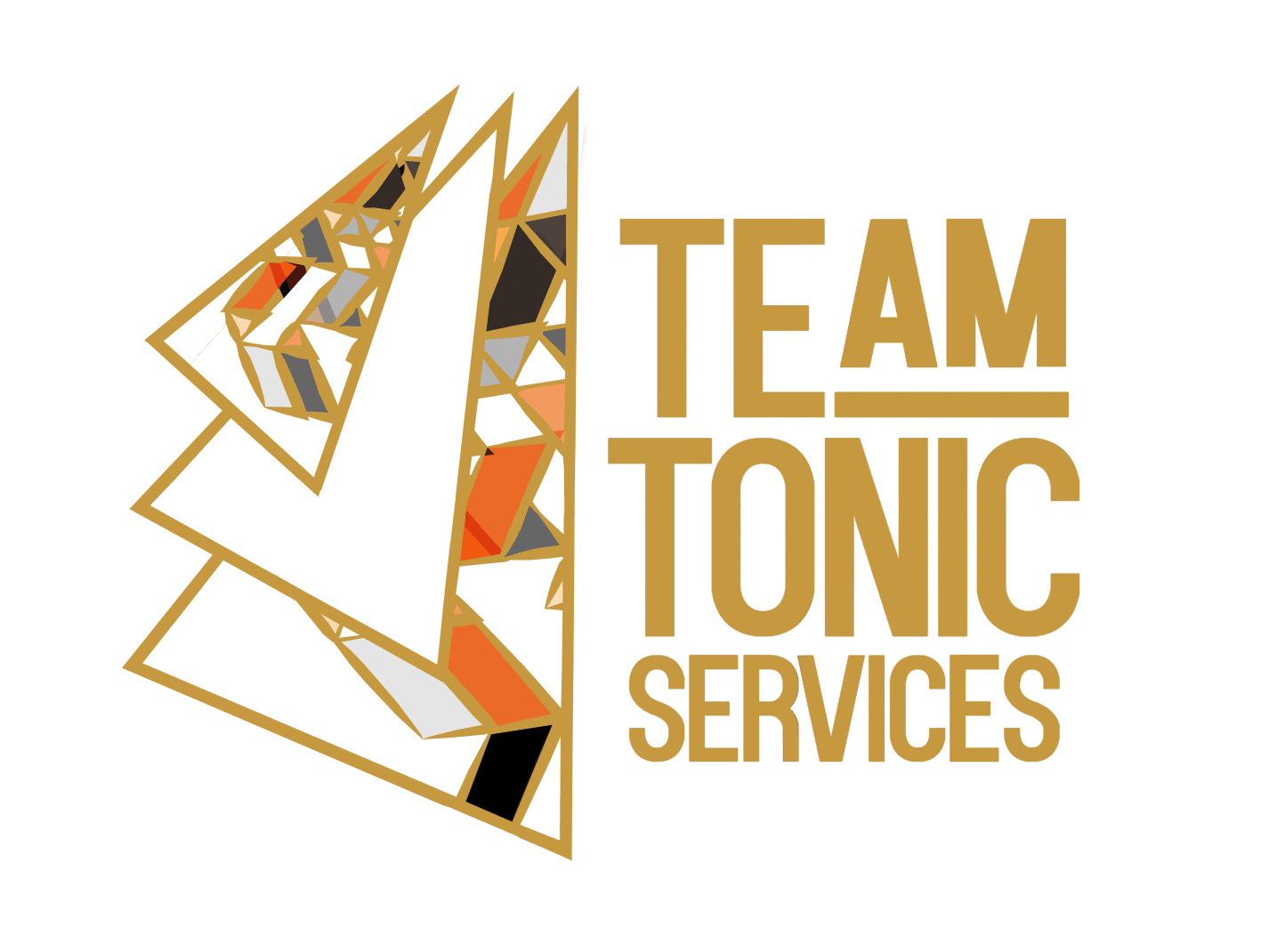 Team Tonic